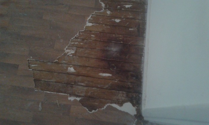 Ηρακλής Στρατής - επισκευή ξύλινα πατώματα